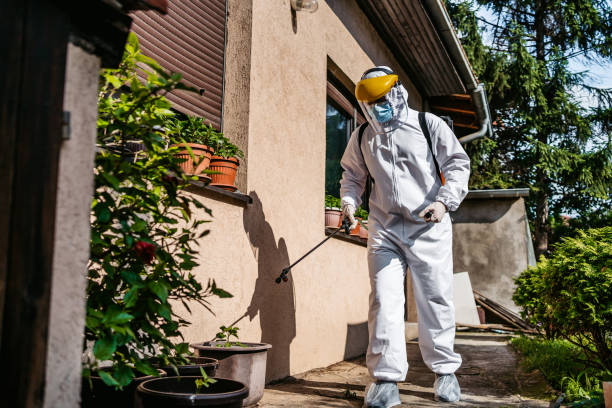 Best Best Pest Control Companies  in Ball Ground, GA