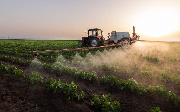 Best Mosquito Control Services  in Ball Ground, GA