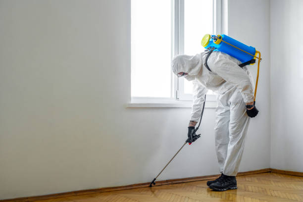 Flea Control Services in Ball Ground, GA