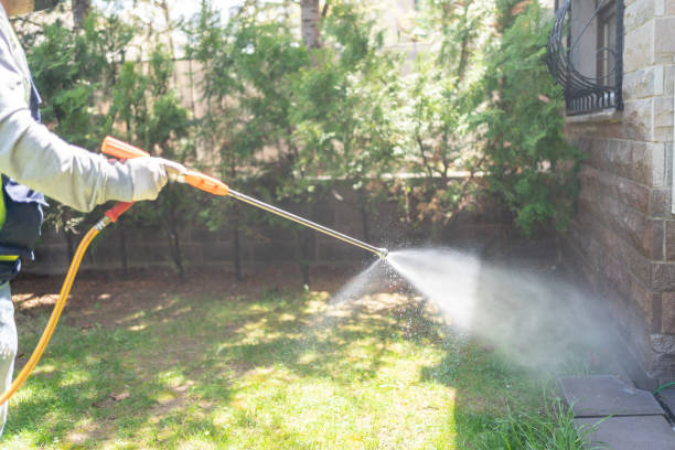 Best Best Pest Control Companies  in Ball Ground, GA