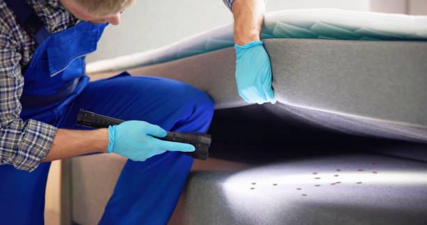 Best Pest Control Near Me  in Ball Ground, GA
