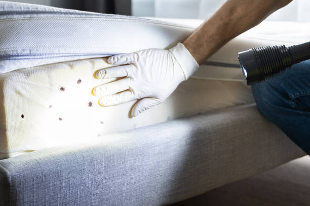 Best Exterminator Services  in Ball Ground, GA